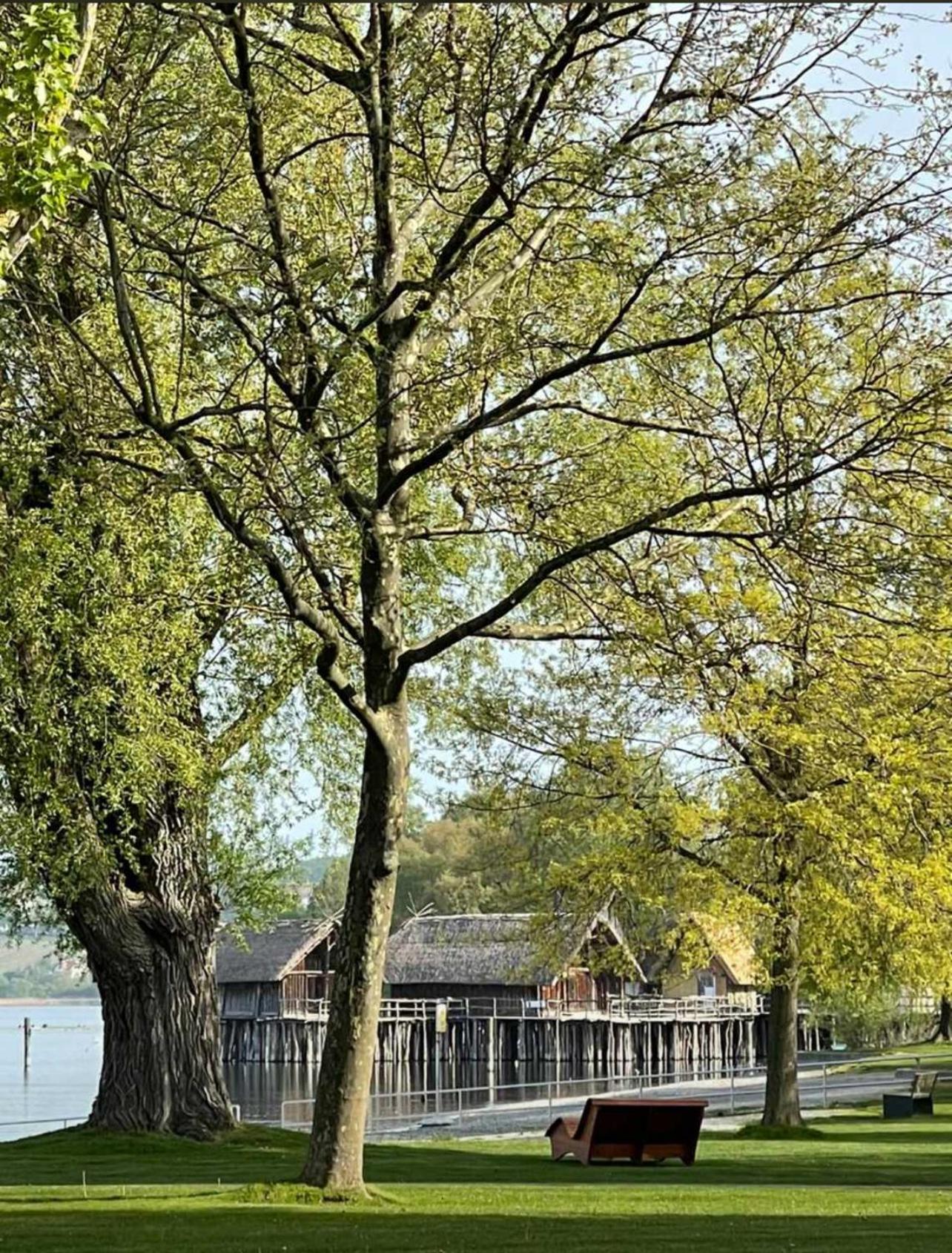 Gaestehaus Maeder Am Hafen Uhldingen-Mühlhofen Esterno foto