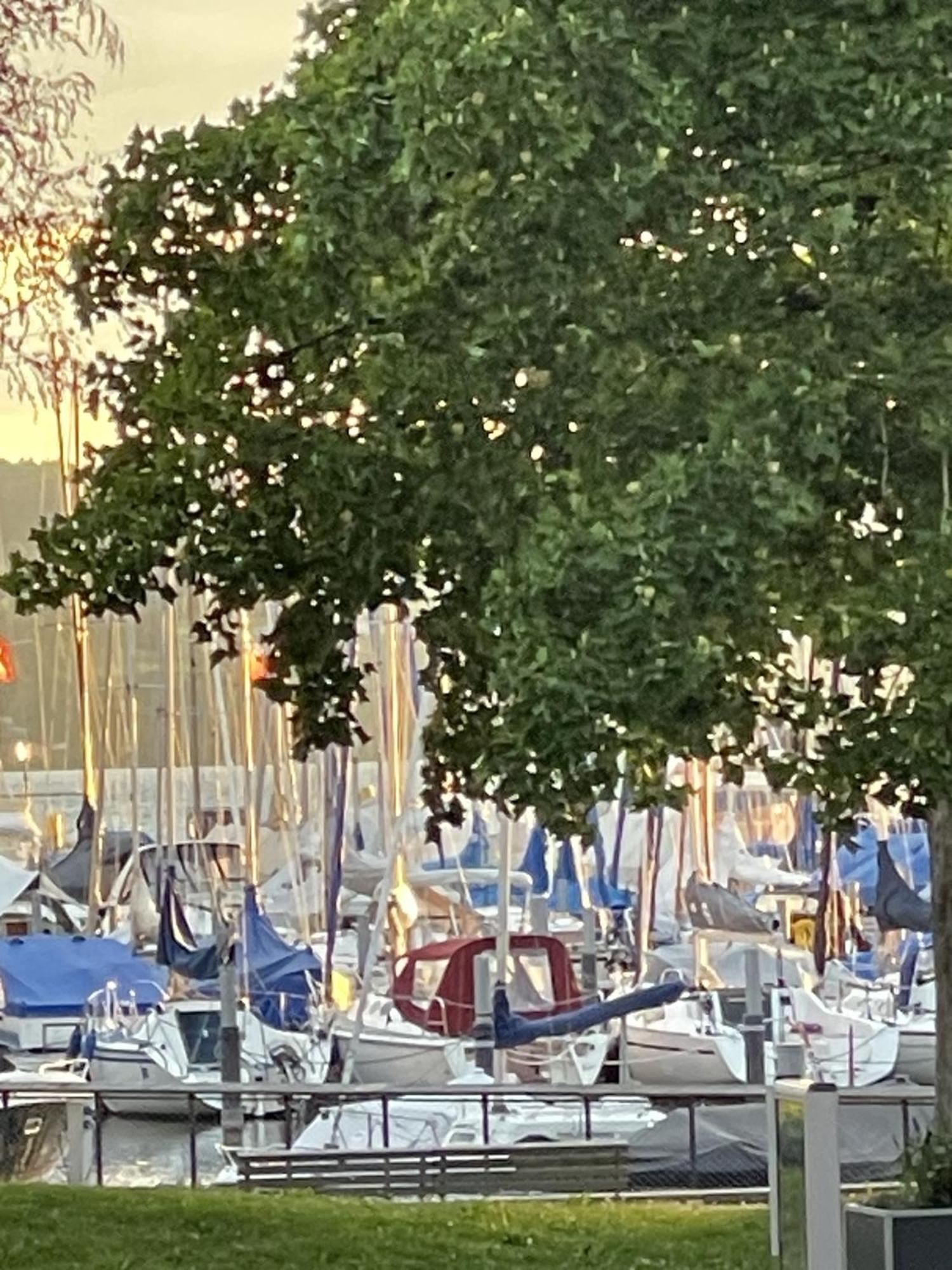 Gaestehaus Maeder Am Hafen Uhldingen-Mühlhofen Esterno foto